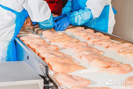 Упаковщик на птицефабрику ст. Выселки