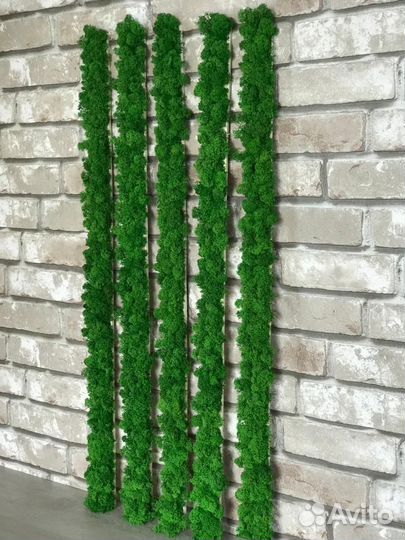 Рейки из стабилизированного мха ягеля