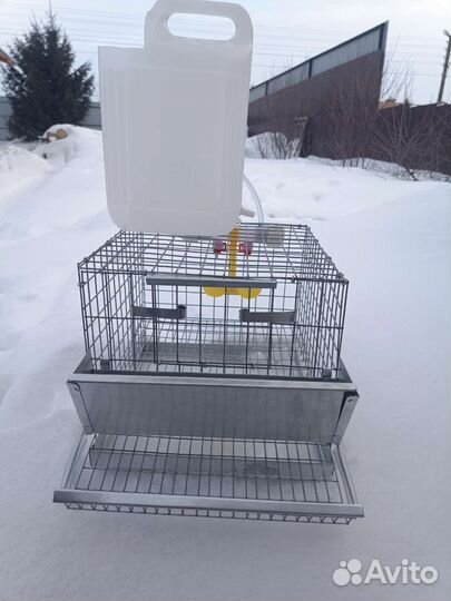 Клетки для перепелов