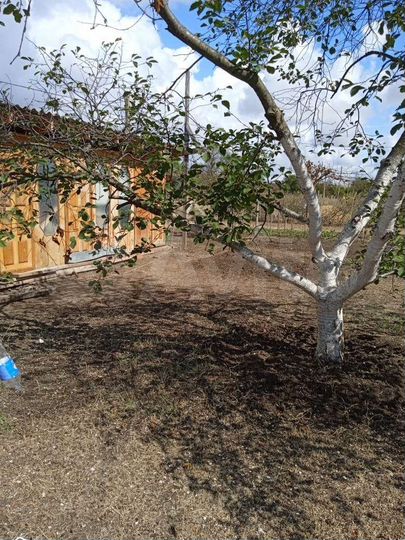 Участок 5 сот. (СНТ, ДНП)