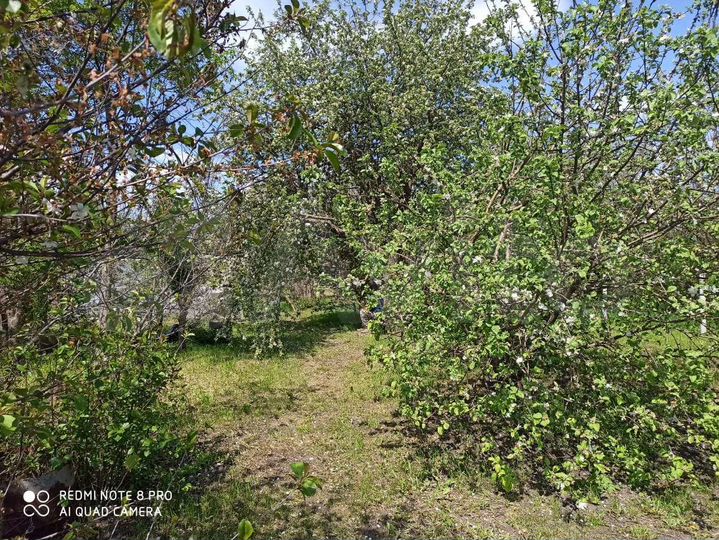 Дом 56 м² на участке 45 сот.