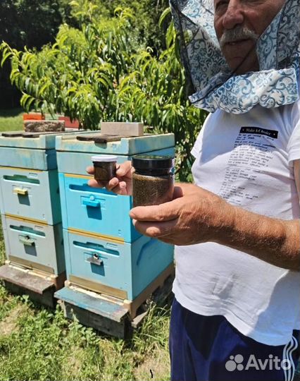 Глистогонный препарат на медовой основе