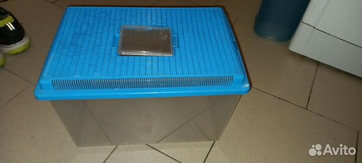 Террариум для улиток, пауков и ящериц