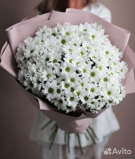 Букеты хризантема