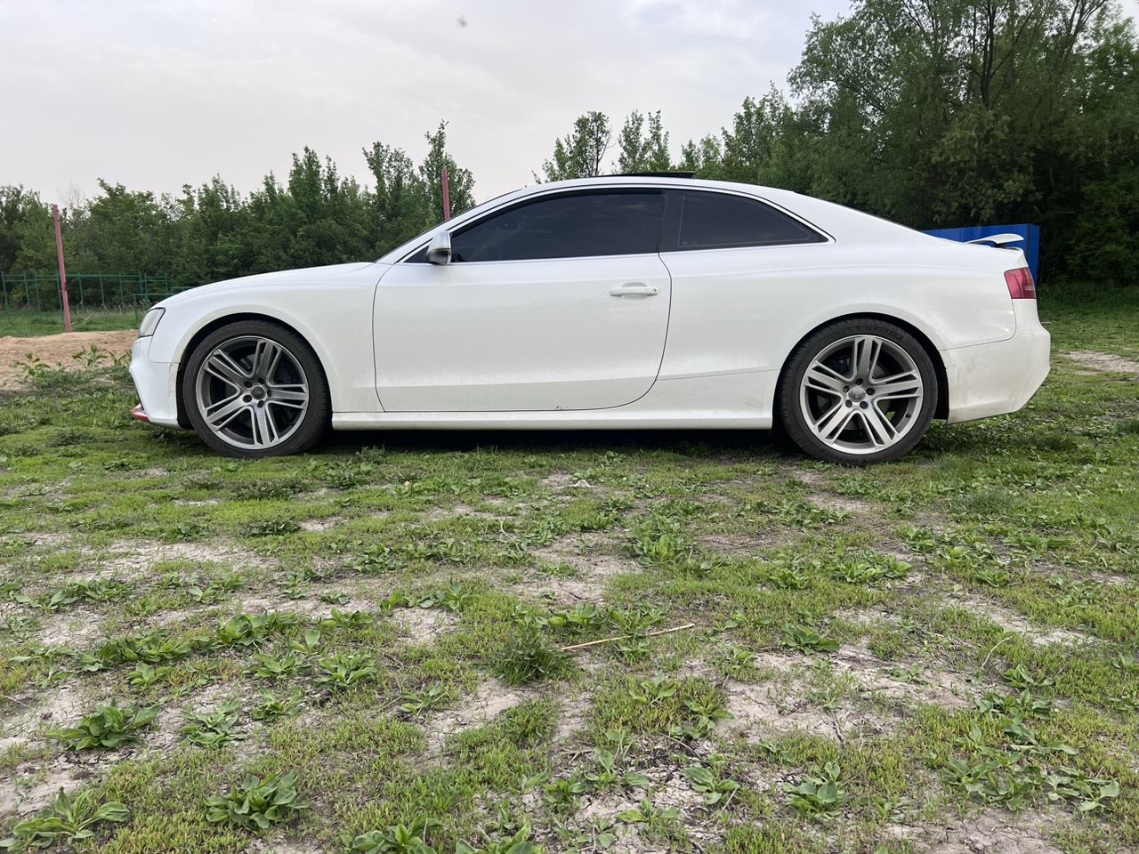 Audi RS5