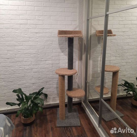 Когтеточки, игровые комплексы для кошек