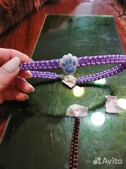 Ошейник для собак