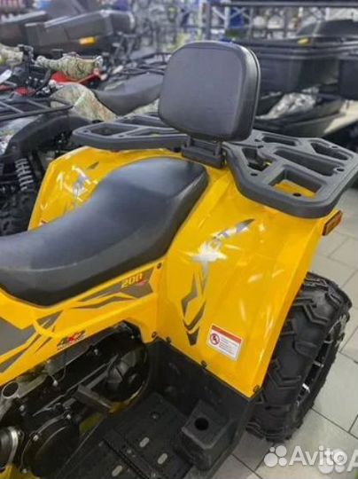 Квадроцикл Motoland Wild Track X 200 PRO + лебедка