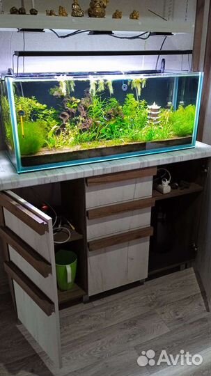 Аквариум