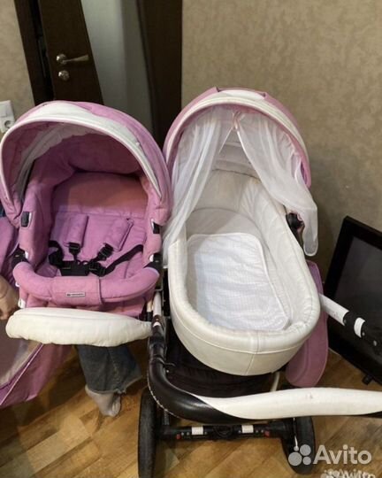 Коляска 2 в 1 adamex