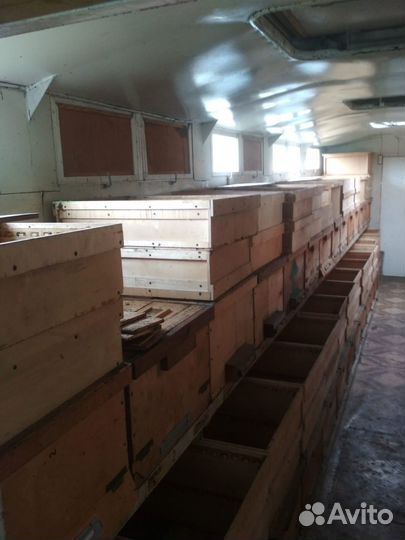 Пчелопавильон