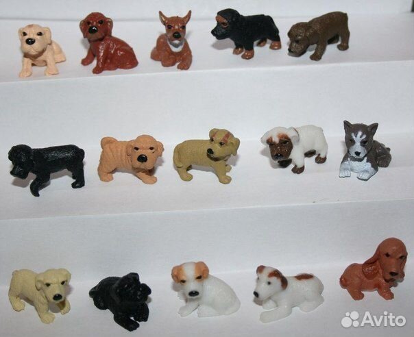 Взрослые собаки, щенки, собаки япония