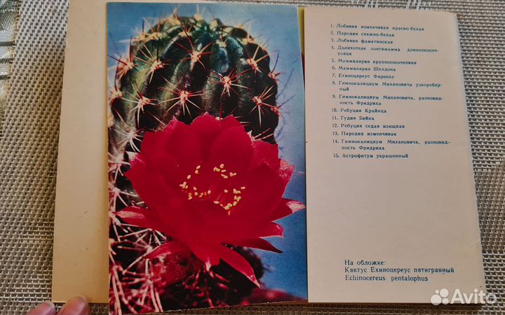 Наборы открыток СССР, книги про растения