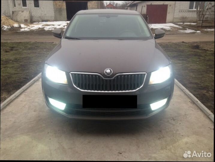 Би линзы,Ксенон для Шкоды Октавия