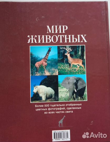 Мир животных