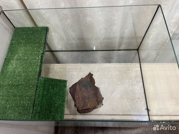 Аквариум, террариум