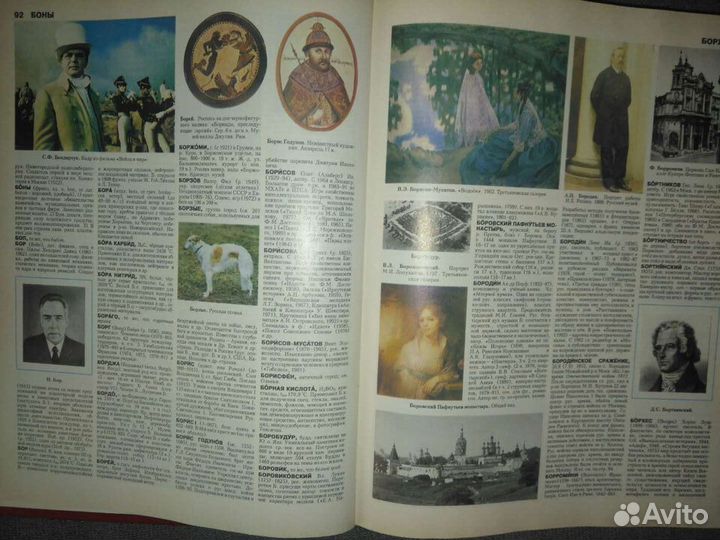 Иллюстрированный энциклопедический словарь. брэ