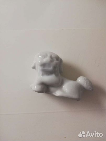 Собака