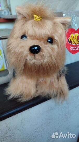 Йоркширский терьер