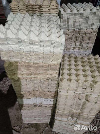 Лотки для яиц