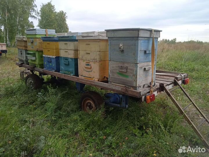 Прицеп платформа для перевозки и кочёвки пчел