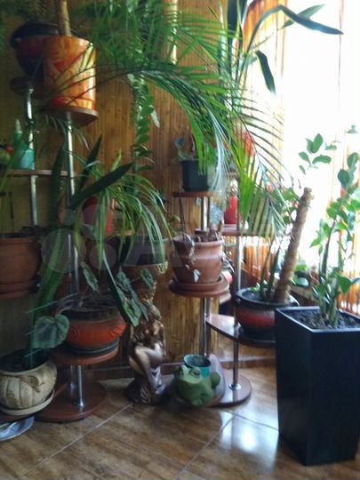 2-к. квартира, 55 м², 2/5 эт.