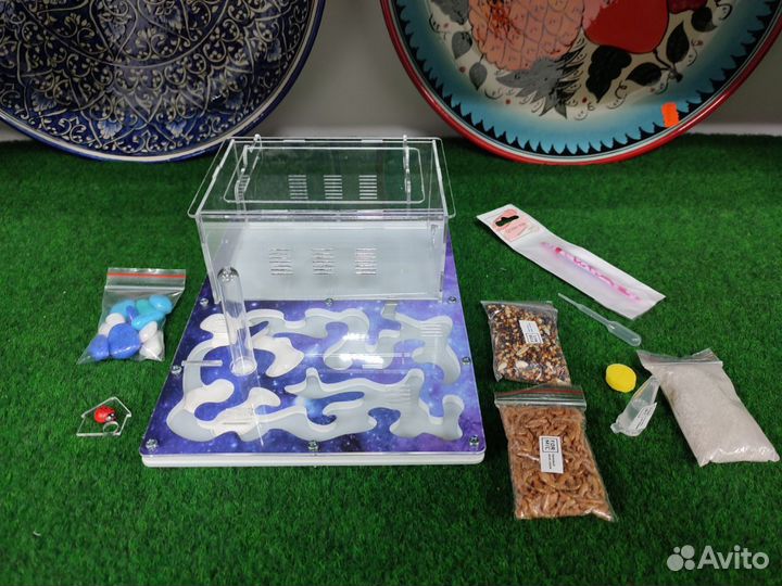 Муравьинная ферма