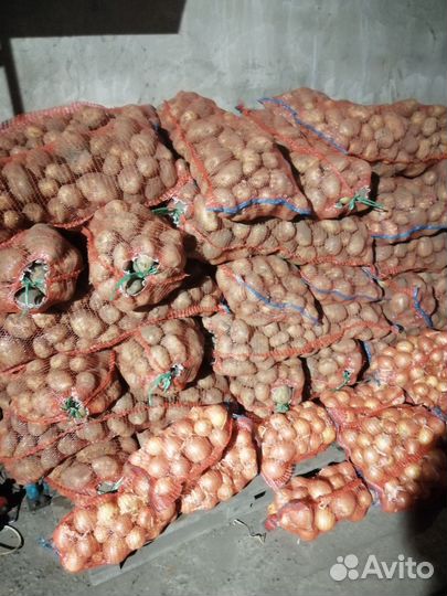 Продам картофель