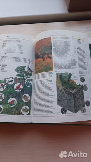 Большая оксфордская энциклопедия