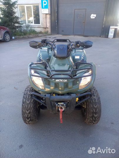 Arctic Cat 300