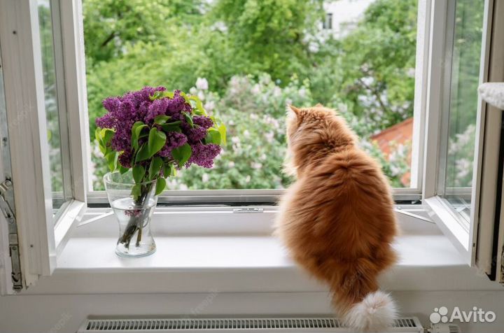Окна пластиковые