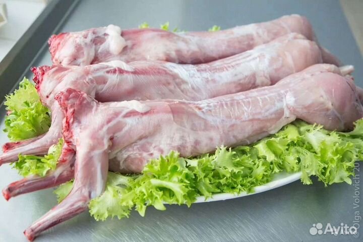 Мясо кролика