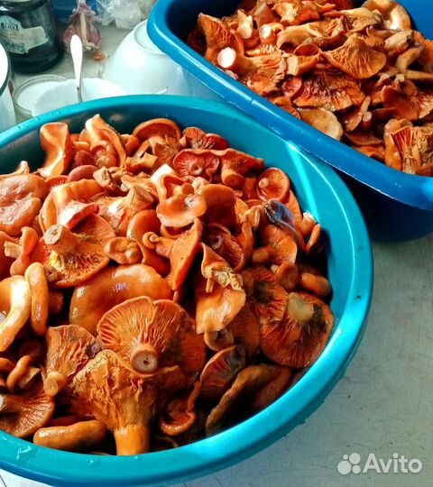 Соленья домашние консервацыя