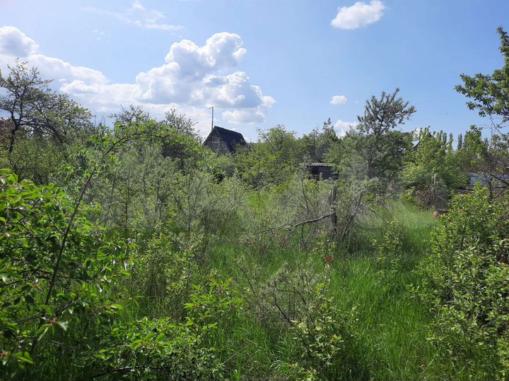 Участок 6 сот. (СНТ, ДНП)