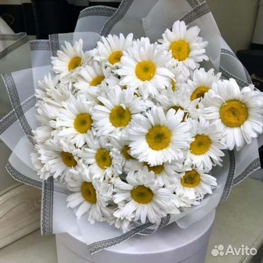 Цветы ромашки с доставкой