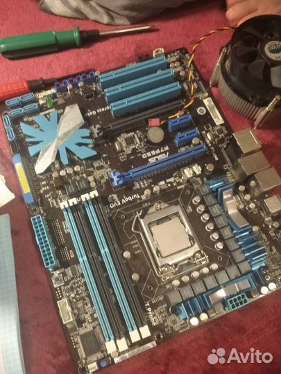 Платформа asus P7P55D-E + Intel