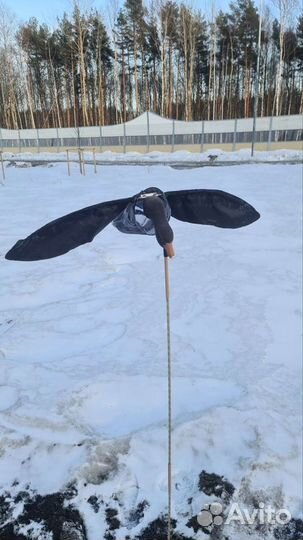 Чучела гусей Махокрыл