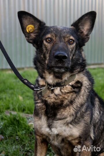 Пожалуйста, не пролистывай меня