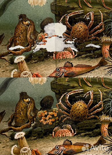 Реставрация старинных гравюр и литографий