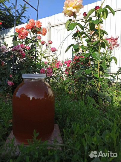 Свежий цветочный мед 2023 года