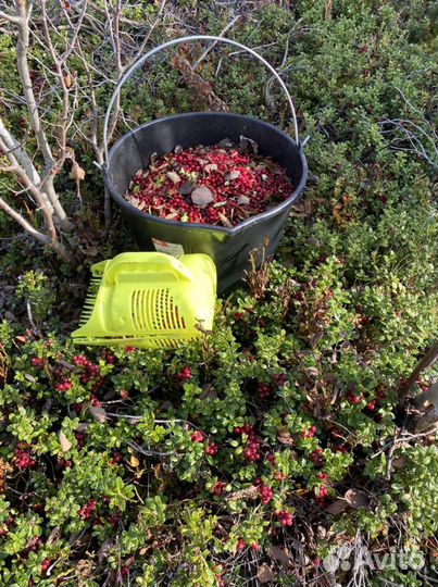 Сминаемые чучела гусей премиум качество