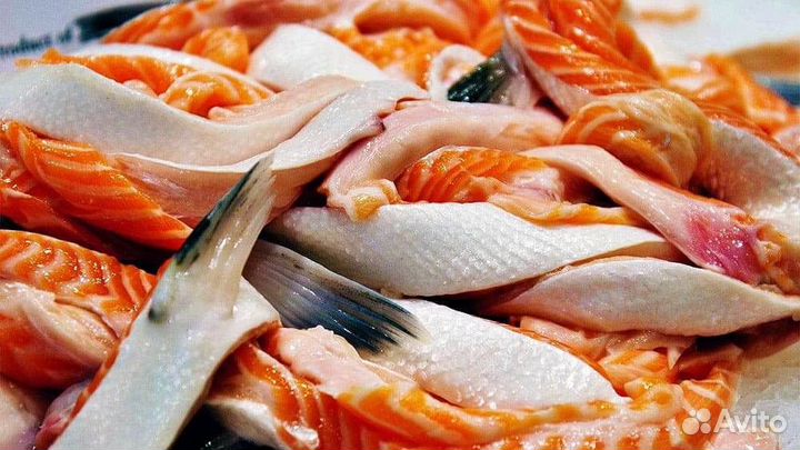 Хребты семги