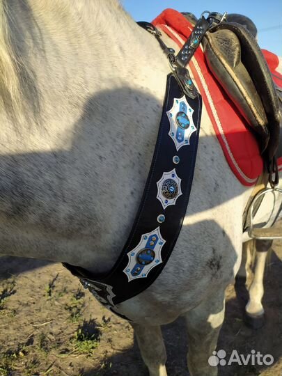 Подперсье для лошади