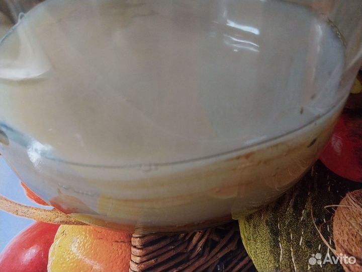 Чайный гриб комбуча