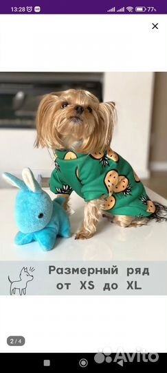 Одежда для сфинксов или собак мелких пород