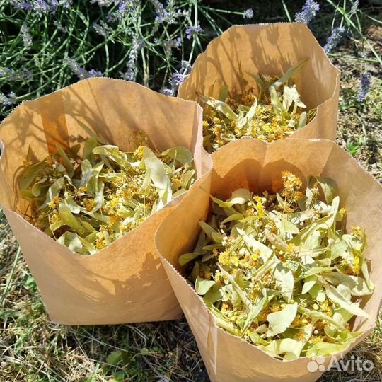 Липовый цвет