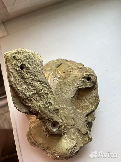 Островок для черепахи