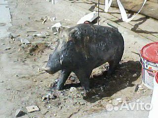 Скульптура, барельеф, лепнина