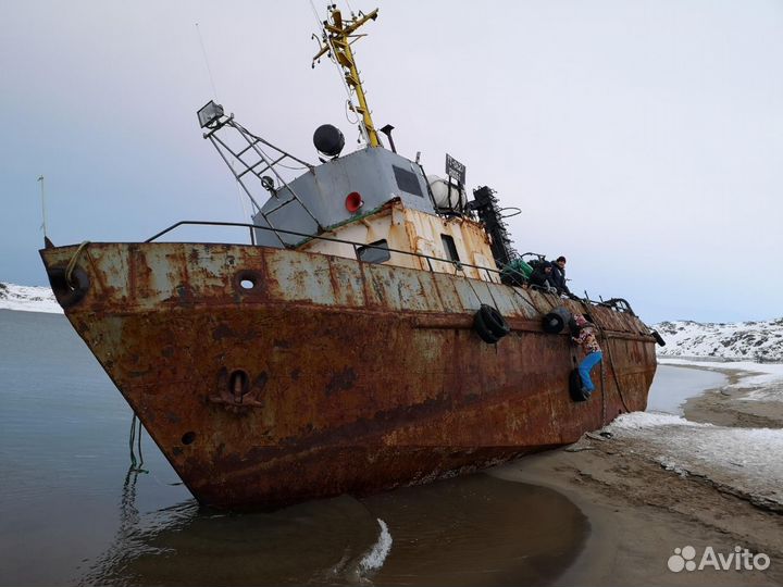 Туры в Териберку