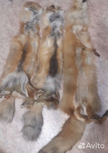 Лисьи шкуры